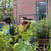 Bilingualer Phorms Campus Berlin Mitte